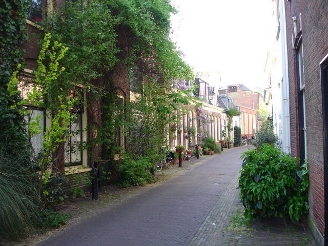 Hollande_2008 (42).JPG